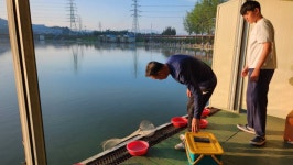 안성 거청낚시터 유료낚시터 > 8월 3일 거청낚시터 할인행사 : 낚시사랑