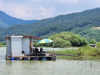 고삼지 양촌 유료낚시터 > 한여름의 고삼지 붕어조황입니다. : 낚시사랑