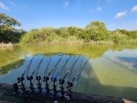 고삼지 양촌 유료낚시터 > 고삼지 휴가 막바지 시즌입니다. : 낚시사랑