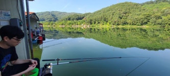 양평수곡낚시터 유료낚시터 > 무더위 여름휴가 힐링 양평 수곡 낚시터 8월 ㅊㅓㅈ주말 주후반 조황 꾸준한 편입니다 : 낚시사랑