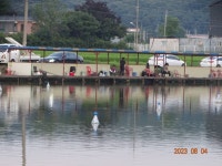 오빈낚시터 유료낚시터 > ～～～자리편차 없는 주말이었으며 현재 아주좋은 조황 보이고 있습니다 ～～～ : 낚시사랑