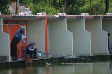 고담낚시터 유료낚시터 > 붕어방류 와 조황입니다 : 낚시사랑