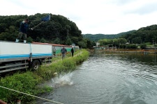 한터낚시터. 유료낚시터 > 2023 / 08 / 12 토요일 오전 10시 한터 낚시터 향어 대량방류 했습니다. : 낚시사랑