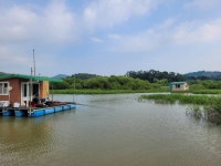 고삼지 양촌 유료낚시터 > 고삼지 여름휴가 시즌 붕어 손맛보러 오세요!! : 낚시사랑