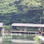 송전집좌대 유료낚시터 > 송전지 송전 좌대(송전집) 조황정보 : 낚시사랑