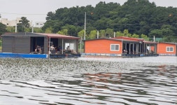 성호낚시터 유료낚시터 > 15일 조황 이천성호낚시터. : 낚시사랑