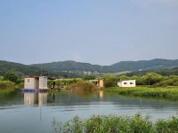 고삼지 양촌 유료낚시터 > 고삼지 상류권 포인트 조황입니다. : 낚시사랑