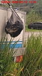 농촌지낚시터 유료낚시터 > 씨알 좋고 깨끗하고 힘 좋은 붕어를 만날 수 있는 곳! 날씨와 상관없이 연중 낚시가 가능한 하우스가 있는 곳! 농촌..