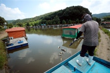 한터낚시터. 유료낚시터 > 한터 낚시터 2023년 8월18일 금요일 붕어 / 향어 / 잉어 대량방류했습니다. : 낚시사랑