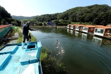 한터낚시터. 유료낚시터 > 한터 낚시터 이게 말이 되나요? 2023 / 08 / 19 토요일 붕어 잉어 향어 대량 방류 했습니다. : 낚..