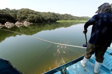 한터낚시터. 유료낚시터 > 한터 낚시터 이게 말이 되나요? 2023 / 08 / 19 토요일 붕어 잉어 향어 대량 방류 했습니다. : 낚..