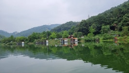 양평수곡낚시터 유료낚시터 > 늦여름 피서 힐링 양평 수곡 낚시터 주후반 주말 조황도 꾸준합니다 : 낚시사랑