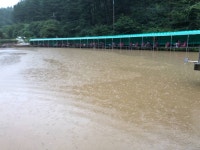 양평-대명낚시터 유료낚시터 > 8월 23일[수] 지금 향어 폭팔적 조황!! : 낚시사랑