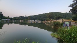 즐거운복상골 유료낚시터 > 처서 매직~~~ : 낚시사랑