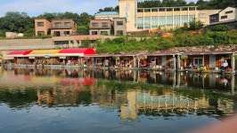 장광낚시터 유료낚시터 > 안성[장광] 8월 27일 주말대방류 ~~~ 조황소식 : 낚시사랑