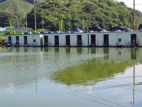 남전지기 유료낚시터 > 주말조황 및 방류소식 : 낚시사랑