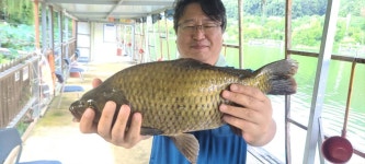 양평수곡낚시터 유료낚시터 > 여름시즌 끝자락 힐링 양평 수곡 낚시터 주후반 주말 조황도 잘 나와주고 있습니다 : 낚시사랑