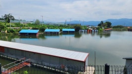 초원낚시터 유료낚시터 > ***포천 초원낚시터 조황소식*** : 낚시사랑