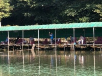 양평-대명낚시터 유료낚시터 > 9월02일[토] 메기 대박 폭풍조황!! : 낚시사랑