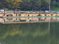 남전지기 유료낚시터 > 주말조황 및 방류소식 : 낚시사랑
