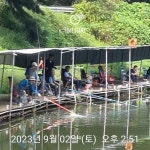 한일지기 유료낚시터 > ***한일낚시터 주말 조황 체크*** : 낚시사랑