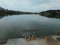 칠곡낚시터 유료낚시터 > 마음고생 했는데 어제밤부터 붕어가 나오네요 : 낚시사랑