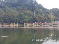 고초골낚시터 유료낚시터 > 고초골 주말 조황 및 어자원 방류 : 낚시사랑