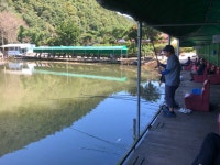 양평-대명낚시터 유료낚시터 > 9월 03주차 800kg-[9월11일~09월17일]-매일방류 : 낚시사랑