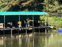 양평-대명낚시터 유료낚시터 > 9월 03주차 800kg-[9월11일~09월17일]-매일방류 : 낚시사랑