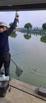 마전낚시공원 유료낚시터 > 끄떡없는 조황!! : 낚시사랑