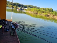 서울좌대 유료낚시터 > 송전지서울좌대9월12일조황 : 낚시사랑