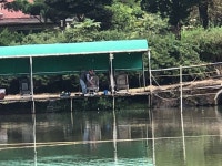 양평-대명낚시터 유료낚시터 > 9월 04주차 800kg-[9월18일~09월24일]-매일/매일 방류! : 낚시사랑