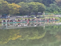 남전지기 유료낚시터 > 주말조황 및 방류소식 : 낚시사랑
