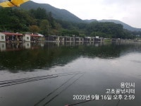 고초골낚시터 유료낚시터 > 고초골 조황 및 어자원 방류소식 : 낚시사랑