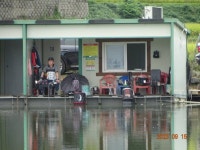 오빈낚시터 유료낚시터 > ～～～자리편차 없는 주말이었으며 현재 아주좋은 조황 보이고 있습니다 ～～～ : 낚시사랑