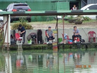 오빈낚시터 유료낚시터 > ～～～자리편차 없는 주말이었으며 현재 아주좋은 조황 보이고 있습니다 ～～～ : 낚시사랑