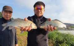 성호낚시터 유료낚시터 > 월척 마릿수 이천성호낚시터. : 낚시사랑