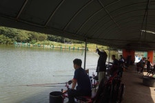 고담낚시터 유료낚시터 > 주말붕어방류 와 조황입니다 : 낚시사랑 고담낚시터 유료낚시터 > 주말붕어방류 와 조황입니다  : 낚시사랑