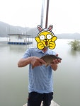 송전집좌대 유료낚시터 > 송전지 송전 좌대(송전집) 조황정보 : 낚시사랑