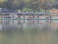 남전지기 유료낚시터 > 주중조황 및 방류소식 : 낚시사랑