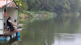 양평수곡낚시터 유료낚시터 > 한가위 명절연휴 힐링 수곡낚시터 조황 꾸준하며 붕어방류 이어집니다 : 낚시사랑