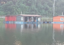 성호낚시터 유료낚시터 > 추석 낚시 성호낚시터. : 낚시사랑