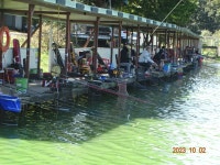 오빈낚시터 유료낚시터 > ～～～자리편차 없는 주말이었으며 현재 좋은조황 보이고 있습니다 ～～～ : 낚시사랑