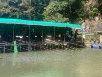 양평-대명낚시터 유료낚시터 > 한글날 연휴시작- 600kg 방류 [향어/메기] : 낚시사랑