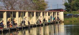 당골낚시터 유료낚시터 > ~~~조황정보~~~ : 낚시사랑