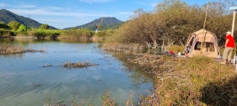 고삼지 양촌 유료낚시터 > 고삼지 상류권 조황입니다. : 낚시사랑