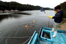 한터낚시터. 유료낚시터 > 한터 낚시터 10월 7일 오전 10시 향어 잉어 붕어 대량 방류 했습니다~ : 낚시사랑