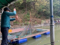 양평-대명낚시터 유료낚시터 > 10월02주차[10월10일~10월15일] 방류공지 / 메기낚시대회 : 낚시사랑