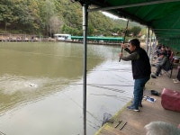 양평-대명낚시터 유료낚시터 > 10월02주차[10월10일~10월15일] 방류공지 / 메기낚시대회 : 낚시사랑