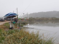 성호낚시터 유료낚시터 > 월척 마릿수 좋은날 이천성호낚시터. : 낚시사랑